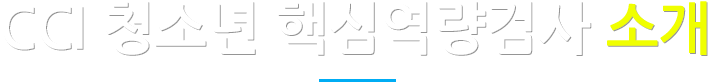 CCI 청소년 핵심역량검사 소개