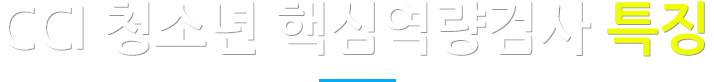 CCI 청소년 핵심역량검사 특징